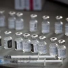 Vắcxin ngừa COVID-19 của Pfizer/BioNTech. (Nguồn: AFP/TTXVN)