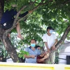 Khán giả Hòa Bình đội nắng, leo cây để được xem đội nhà đá hạng Nhì