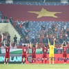 Đội tuyển Việt Nam phải bảo vệ chức vô địch AFF Cup. (Ảnh: PV/Vietnam+)