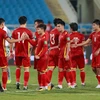 Thất bại của tuyển Việt Nam tại AFF Cup 2020 không phải “giọt nước tràn ly” cho một hành trình dài thành công kể từ khi gắn bó cùng huấn luyện viên Park Hang-seo. (Ảnh: PV/Vietnam+)