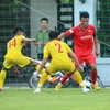 Mục tiêu quan trọng của U23 Việt Nam trong năm 2022 gồm SEA Games 31 và Vòng chung kết U23 châu Á. (Ảnh: PV/Vietnam+) 