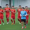 Đội tuyển Việt Nam sẵn sàng chinh phục AFF Cup 2022 với mục tiêu vô địch. (Ảnh: PV/Vietnam+) 