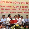 Lãnh đạo các bên tham gia ký kết. (Ảnh: Huy Thắng/Vietnam+).