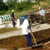Người dân huyện Bảo Lộc, Lâm Đồng phơi và bảo quản cà phê sau thu hoạch. (Ảnh: Ngọc Hà/TTXVN).