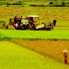 VietinBank-“bà đỡ” tín dụng cho khu vực nông nghiệp, nông thôn