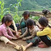 Agribank phục vụ Dự án “Giảm nghèo khu vực Tây Nguyên” 