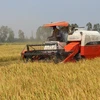 Nhiều giải pháp “cởi trói” để tăng tín dụng nông nghiệp nông thôn