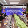 BIDV trao quà Tết cho người nghèo. (Ảnh: CTV/Vietnam+)