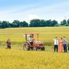 LienVietPostBak ưu tiên cho vay nông nghiệp. (Ảnh: Vietnam+)