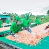 Cơ sở sản xuất thực phẩm chay Bảy Lên ở tỉnh Đồng Tháp vay vốn chính sách phát triển sản xuất kinh doanh, tạo việc làm ổn định, bền vững cho lao động nữ. (Ảnh: Vietnam+)