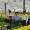 Agribank là ngân hàng chủ lực trong đầu tư phát triển nông nghiệp công nghệ cao. (Ảnh: Vietnam+)
