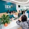 Giao dịch tại ngân hàng BIDV. (Ảnh: PV/Vietnam+)