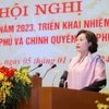 Thống đốc Nguyên Thị Hồng phát biểu tham luận tại Hội nghị. (Ảnh: CTV/Vietnam+)