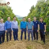Lãnh đạo LPBank cùng đại diện tập đoàn Hoàng Anh Gia Lai tại một trang trại trồng cây sầu riêng. Ảnh: CTV/Vietnam+)