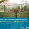 BAC A BANK dành 5.000 tỷ đồng ưu đãi lãi suất cho doanh nghiệp. (Ảnh: Vietnam+)