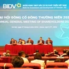 BIDV thông qua phương án tăng vốn điều lệ lên trên 70.000 tỷ đồng. (Ảnh: Vietnam+)