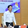 Phó Thống đốc Ngân hàng Nhà nước Phạm Tiến Dũng chia sẻ tại hội thảo. (Ảnh: Vietnam+)