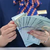 Tỷ giá USD tại các ngân hàng thương mại đồng loạt điều chỉnh tăng. (Ảnh: Vietnam+)