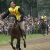 Lào Cai: Từng bừng Giải đua ngựa Bắc Hà 2009