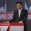 Thủ tướng Nhật Bản Hatoyama phát biểu tại Hội nghị thượng đỉnh Doanh nghiệp APEC (Ảnh: Daylife)