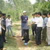 Tập huấn nâng cao năng suất rừng trồng ở Quảng Trị. (Ảnh: Hồ Cầu/TTXVN)
