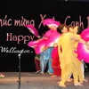 Biểu diễn văn nghệ tại tiệc mừng Năm Mới của Đại sứ quán Việt Nam ở New Zealand (Ảnh: CTV)