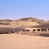 Sa mạc Sahara (Ảnh: saharamet.org)