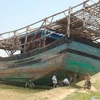 Tàu cá của anh Nguyễn Tấn Sơn đang nằm giữa ruộng lúa. (Ảnh: Đoàn Hữu Trung/Vietnam+)