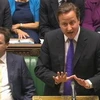 Thủ tướng Anh David Cameron (Ảnh: Reuters)
