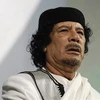 "Ông Gaddafi muốn sang Algeria nhưng bị từ chối"
