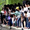 Đông đảo người dân chờ xem rùa nổi ở hồ Hoàn Kiếm. (Nguồn: Internet).