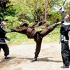 Các võ sư biểu diễn Võ cổ truyền Bình Định (Nguồn ảnh: internet)