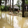 Lũ lụt tại huyện Triệu Sơn, Thanh Hóa. (Ảnh: Đình Huệ/TTXVN)