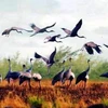 Hàng chục nghìn con chim bay về trú ngụ ở Vườn Quốc gia Lò Gò-Xa Mát. (Ảnh: Tuổi Trẻ).