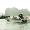 Phòng cảnh sát thủy Công an tỉnh Quảng Ninh gọi tàu thuyền về nơi trú ẩn phòng chống bão số 10. (Ảnh: Nguyễn Đán/TTXVN).