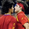 Tây Ban Nha lần thứ hai liên tiếp lên ngôi ở Davis Cup. (Ảnh: TT&VH/Vietnam+).