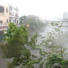 Bão số 11 hoành hành dữ dội tại thành phố Quy Nhơn, Bình Định ngày 2/11. (Ảnh: Viết Ý/TTXVN). 