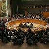 Toàn cảnh cuộc họp của Hội đồng Bảo an Liên hợp quốc. (Ảnh: AFP/TTXVN)