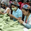 Dệt may - một trong những mặt hàng xuất khẩu chủ lực của Việt Nam. (Ảnh: Trần Việt/TTXVN).