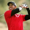 Tổng thống Mỹ Obama khen ngợi Tiger Woods