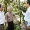 Chủ tịch Nguyễn Phú Trọng thăm một vườn cây ăn trái tại xã Ngũ Hiệp, huyện Cai Lậy, tỉnh Tiền Giang. (Ảnh: Trí Dũng/TTXVN). 