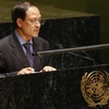 Đại sứ Lê Lương Minh phát biểu tại phiên họp của đại hội đồng Liên hợp quốc. (Ảnh: TTXVN).
