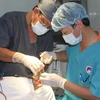 Phẫu thuật nhân đạo cho bệnh nhân dân tộc thiểu số. (Ảnh: Trần Hữu Hiếu/Vietnam+)