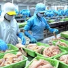 Việt Nam cung cấp cho Uzbekistan các sản phẩm thủy sản. (Ảnh minh họa: Duy Khương/TTXVN)