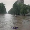 Lũ lụt ở Triều Tiên. (Ảnh: Internet).