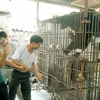 Gấu nuôi nhốt ở Quảng Ninh. (Ảnh: Nguyễn Đán/TTXVN)