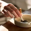 Hút thuốc lá có thể dẫn đến ung thư phổi. (Ảnh minh họa: Internet).