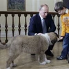 Thủ tướng Nga với cậu bé Dima và cún cưng mới - Buffy. (Ảnh: Internet)