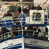 Thuyền chở những người nhập cư từ Tunisia cập cảng Lampedusa, Italy. (Ảnh: AFP/TTXVN)