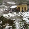 Tuyết rơi dày ở Sa Pa. (Ảnh: Tấn Đức/Vietnam+))